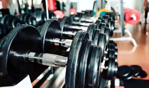 Gym: The Complete Fitness Guide to Finding the Best Gym in Wakad